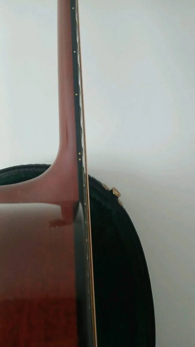 Guitar - Image 3