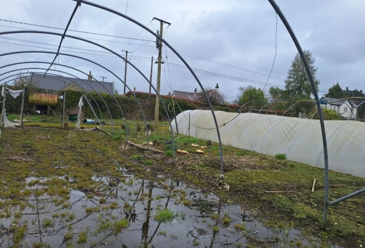 Polytunnel frames - Image 2