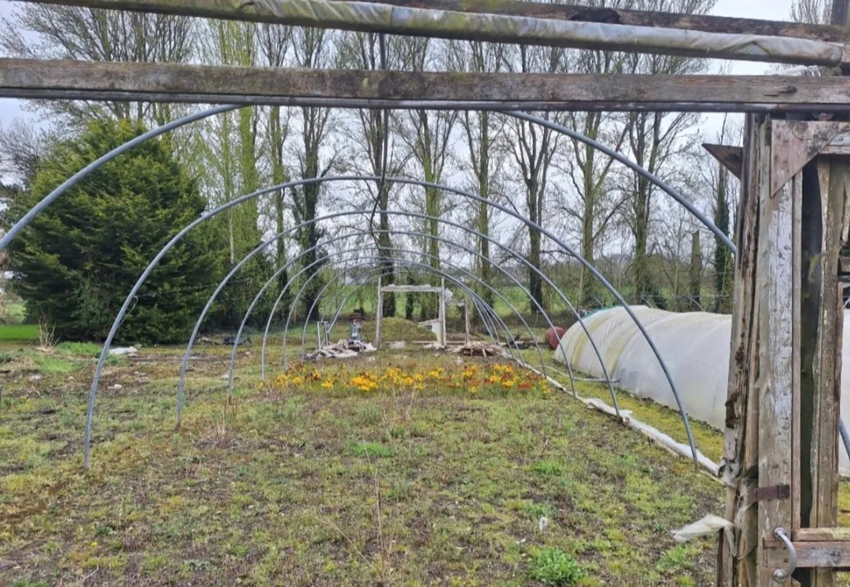 Polytunnel frames - Image 1