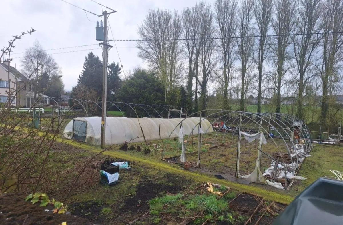 Polytunnel frames - Image 3