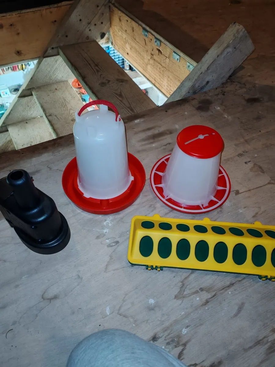 Chick hatching set-up - Image 3
