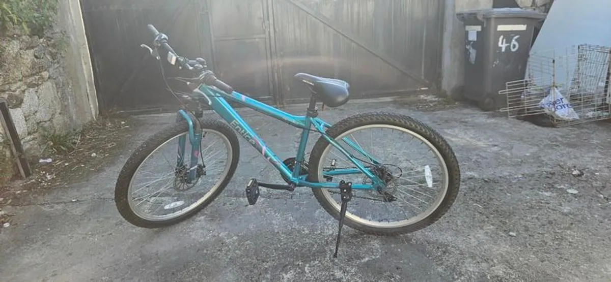 Bike - Image 4