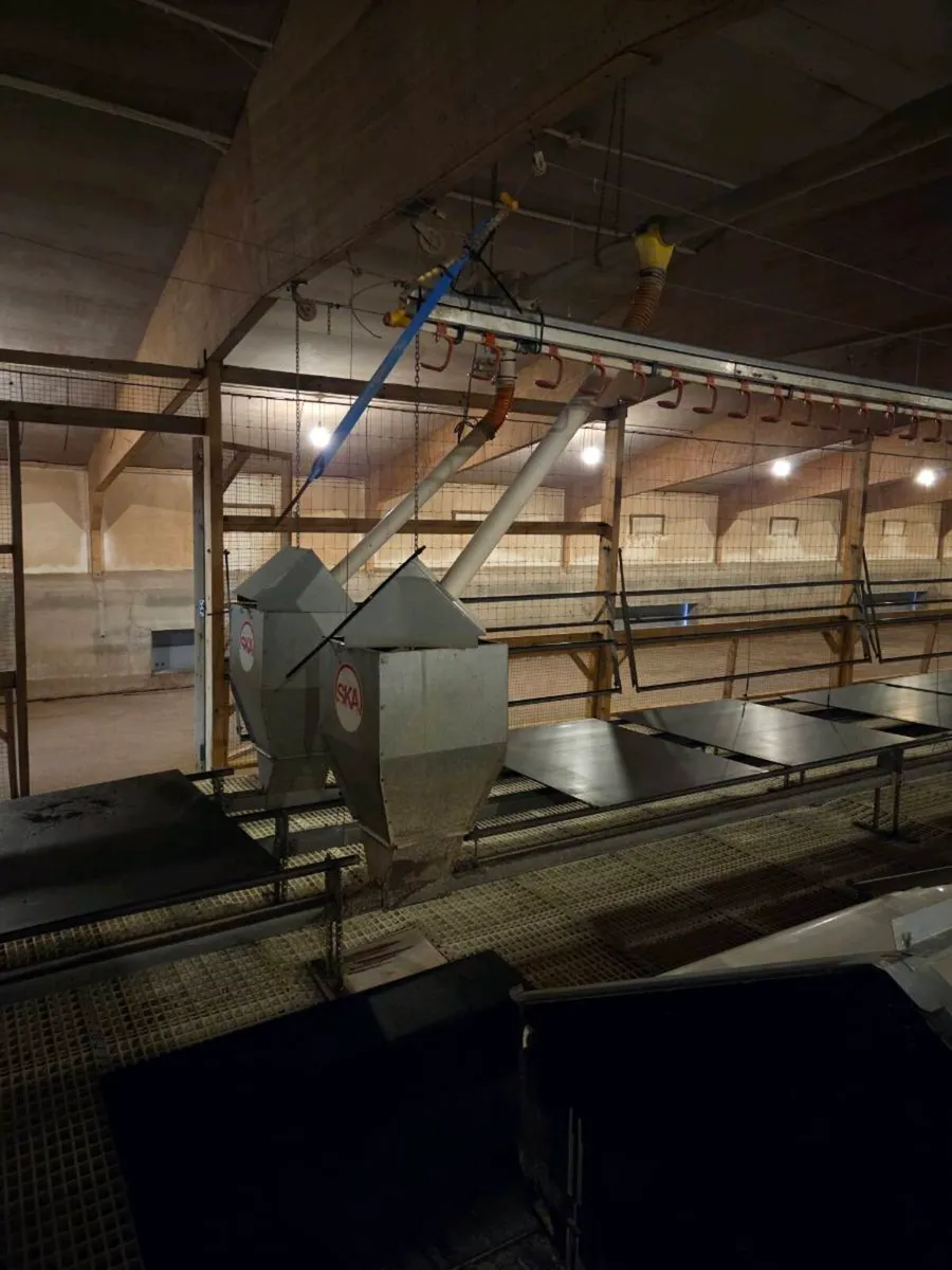Poultry Equipment - Image 2