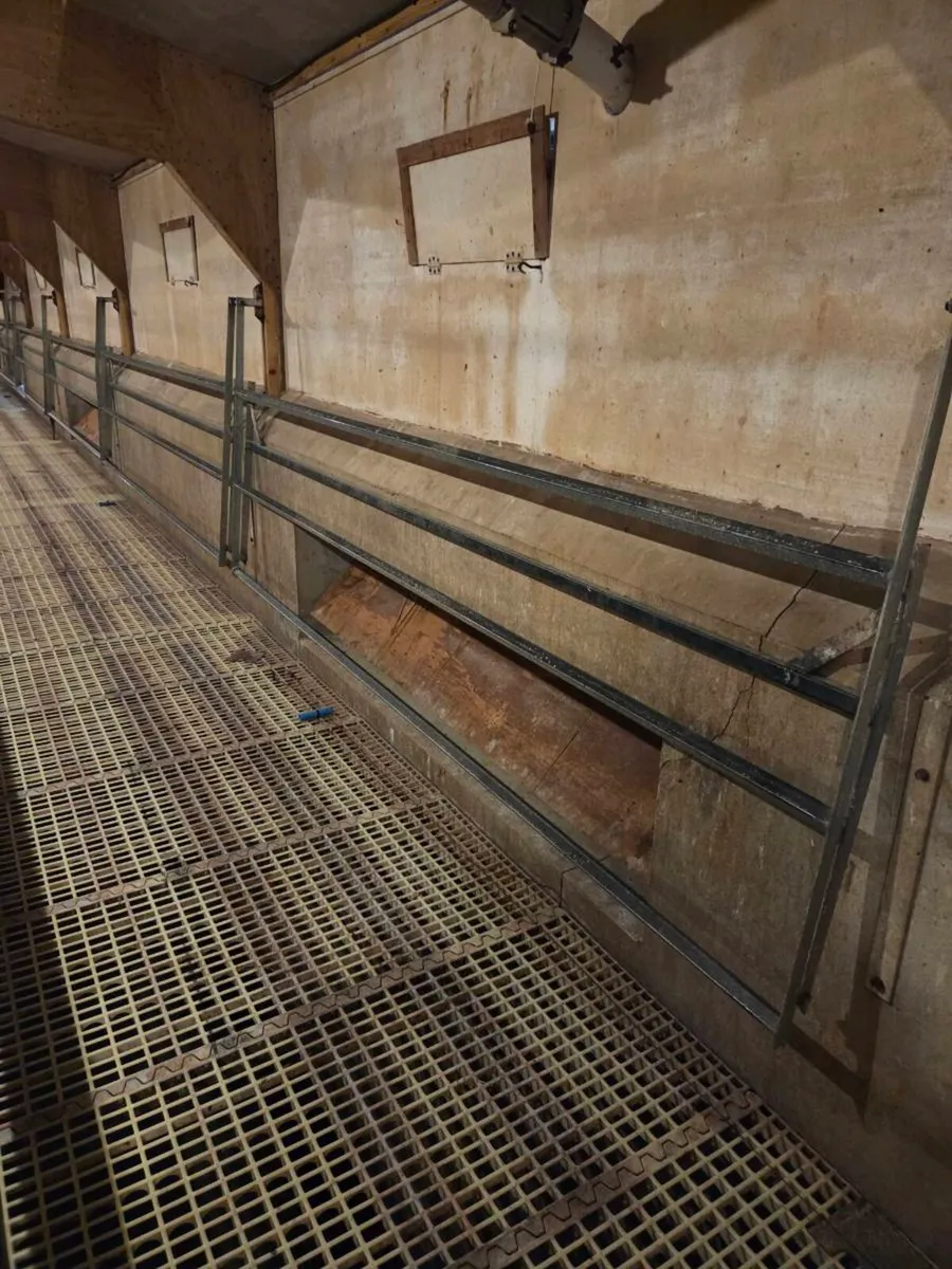 Poultry Equipment - Image 3