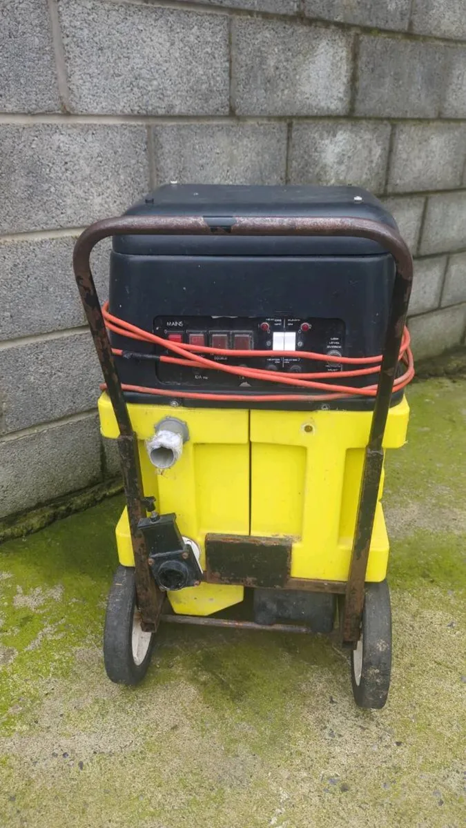 Carpet cleaning - Image 1