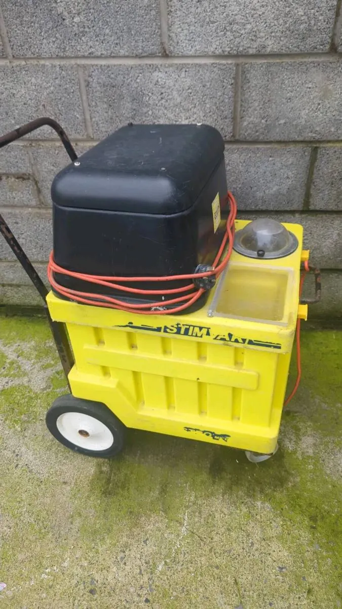 Carpet cleaning - Image 2