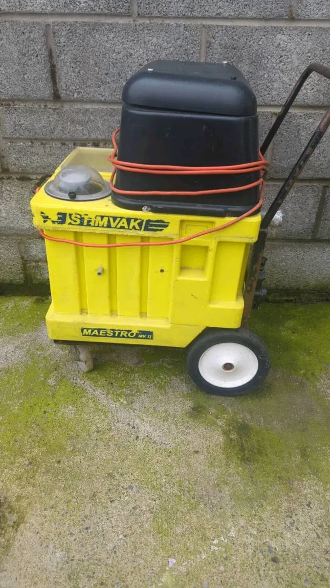 Carpet cleaning - Image 3
