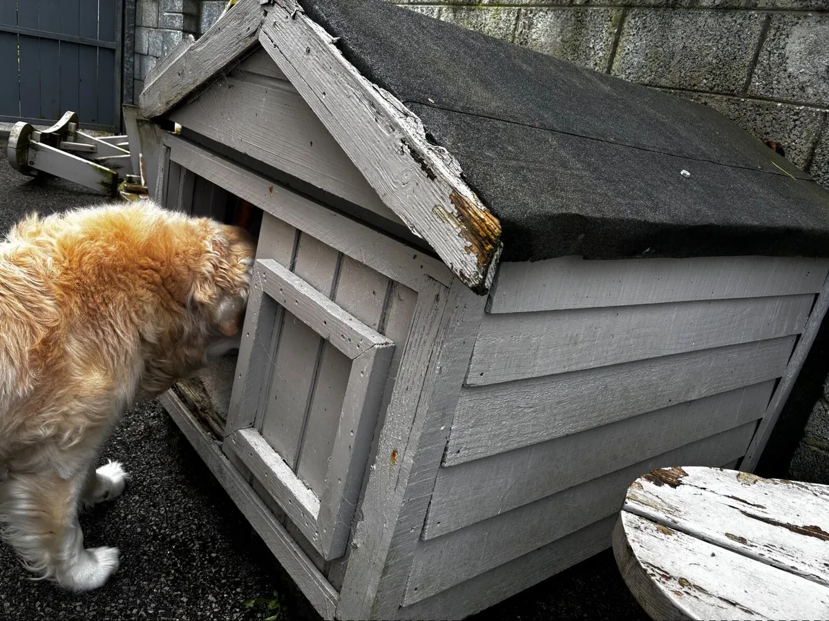 Free Dogs Kennel - Image 1