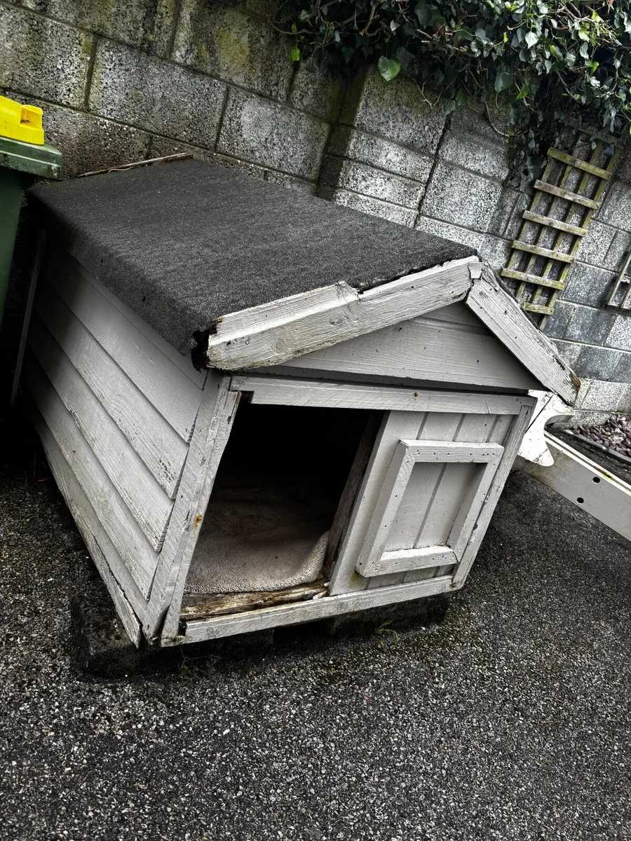 Free Dogs Kennel - Image 3