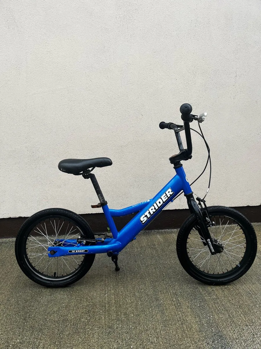 Strider 16 - Image 1