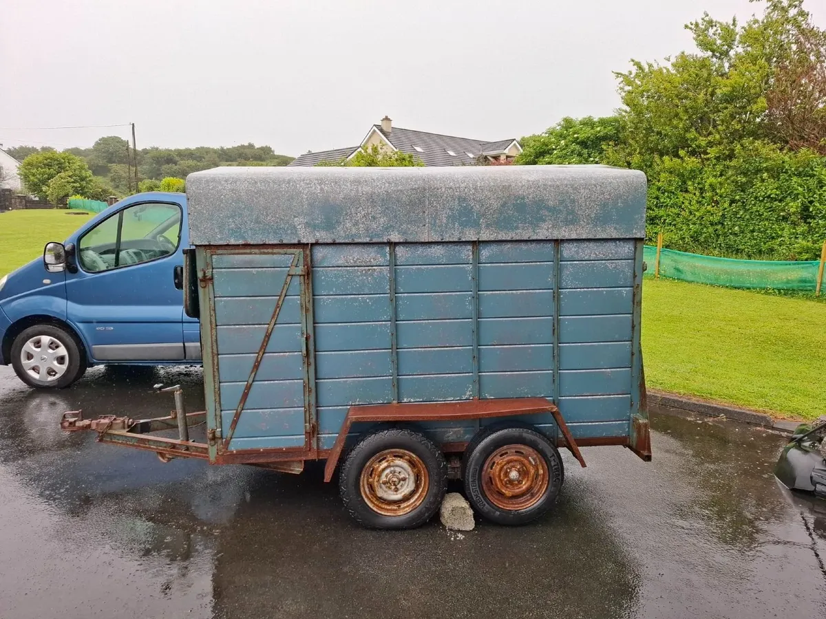 6 x 4.5 ft Cattle Trainer - Image 1