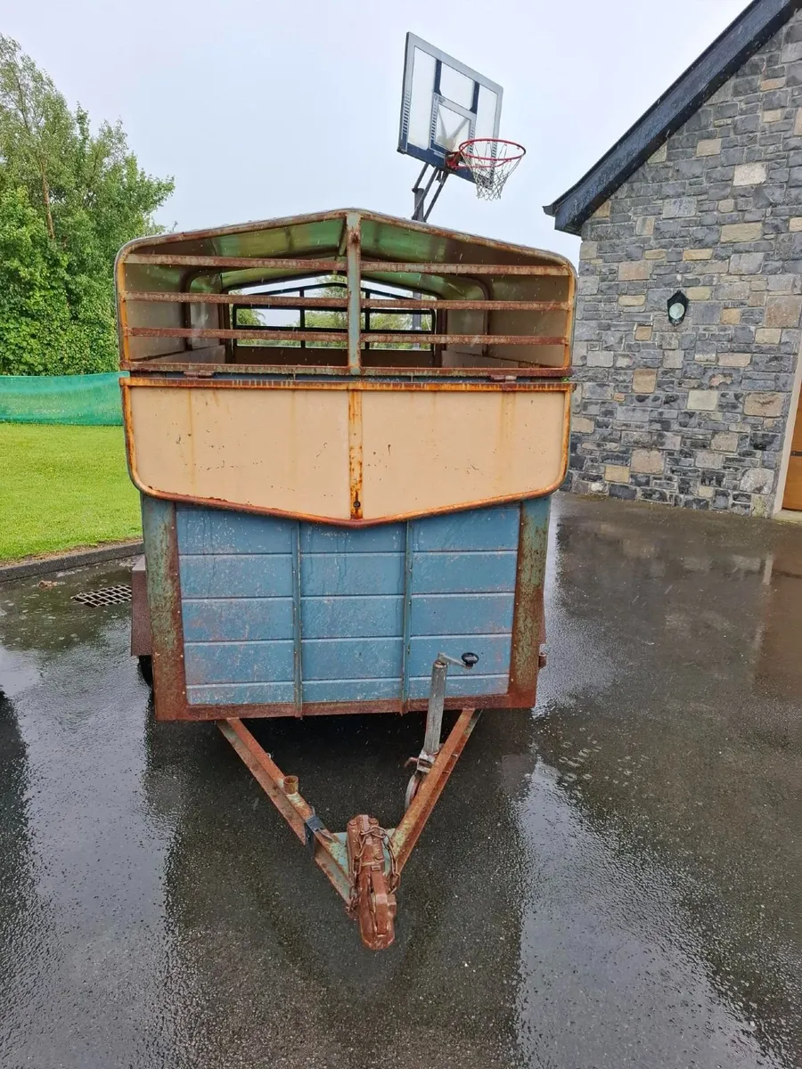 6 x 4.5 ft Cattle Trainer - Image 2