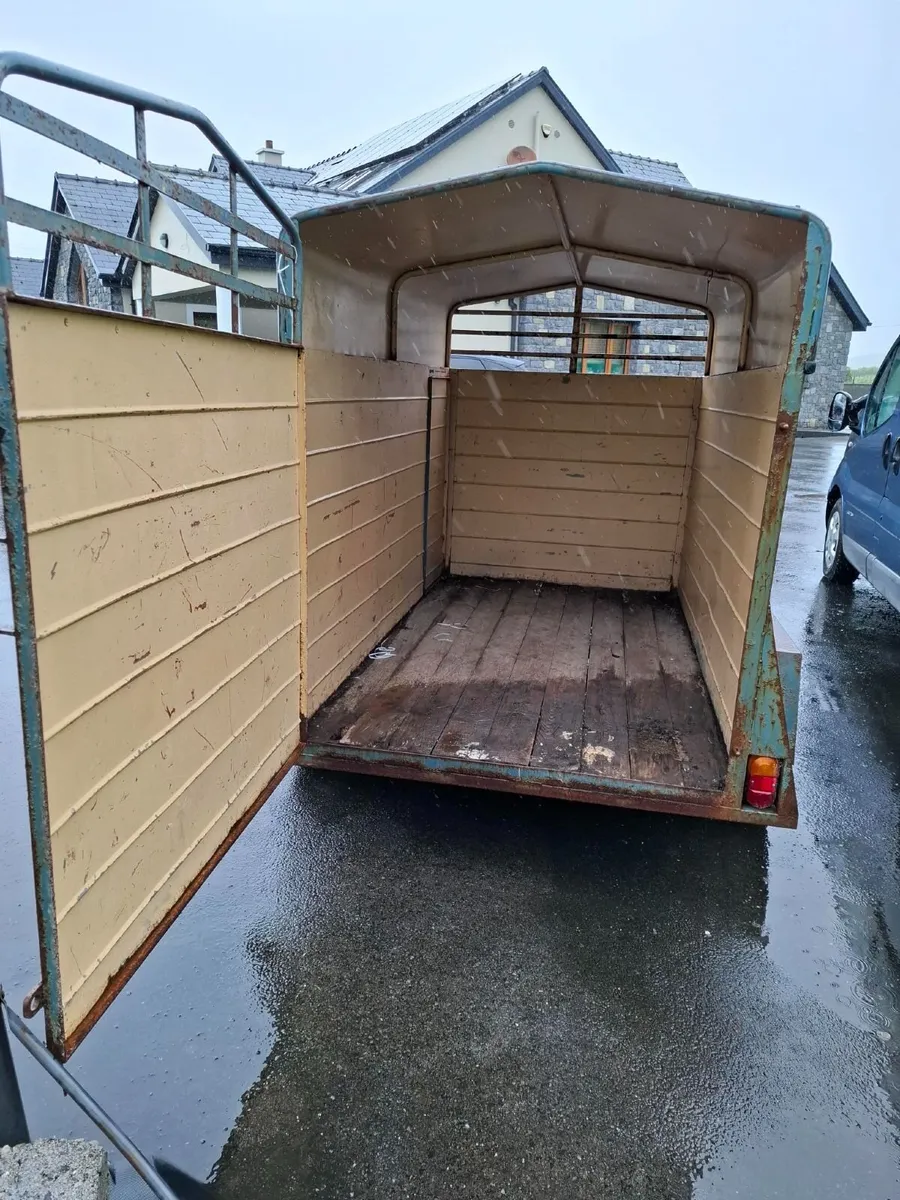 6 x 4.5 ft Cattle Trainer - Image 3