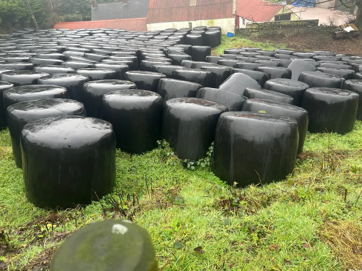 Silage Bales - Image 1