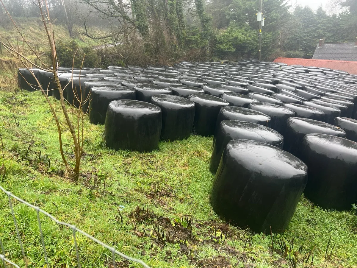 Silage Bales - Image 2