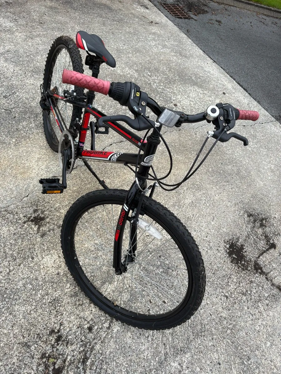 ProBike - Image 1
