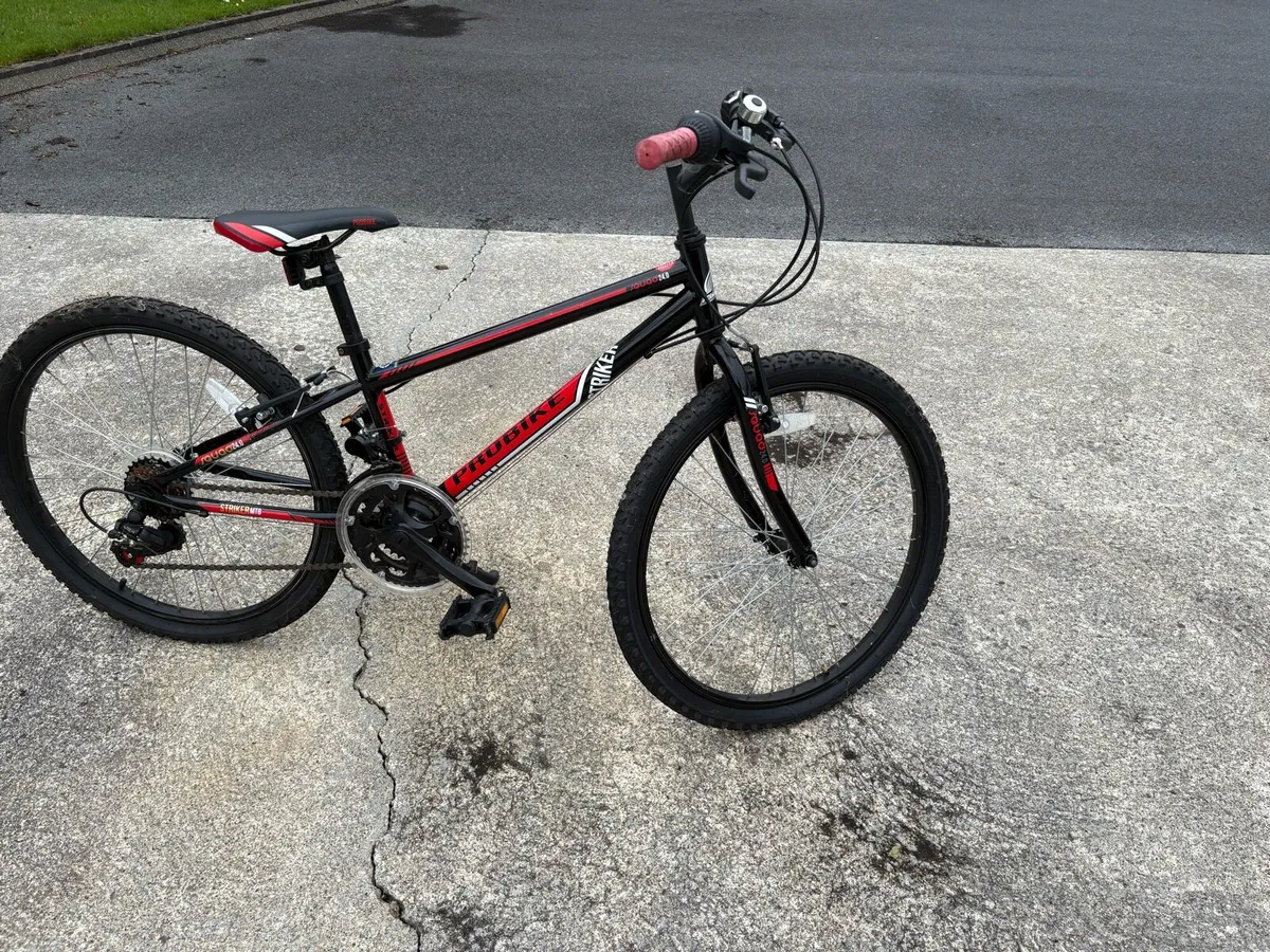 ProBike - Image 2
