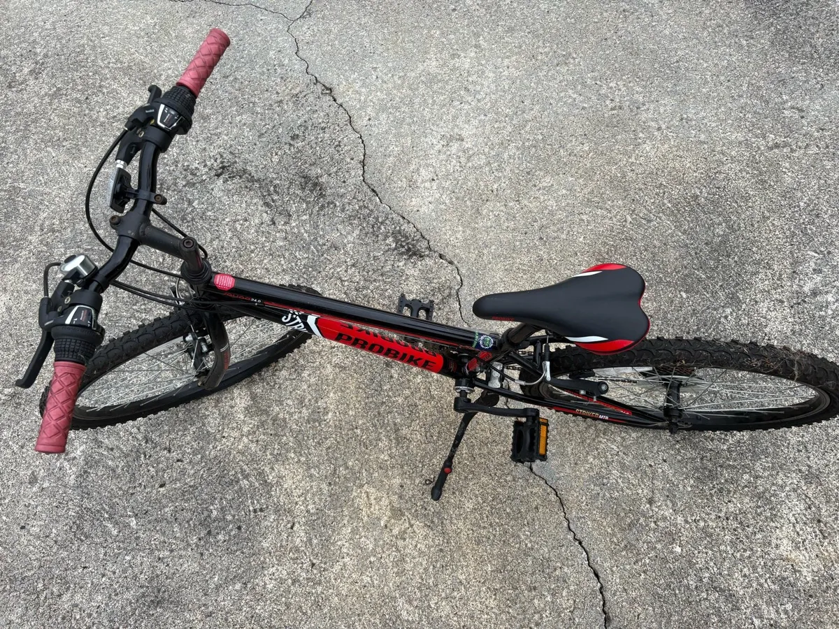 ProBike - Image 3