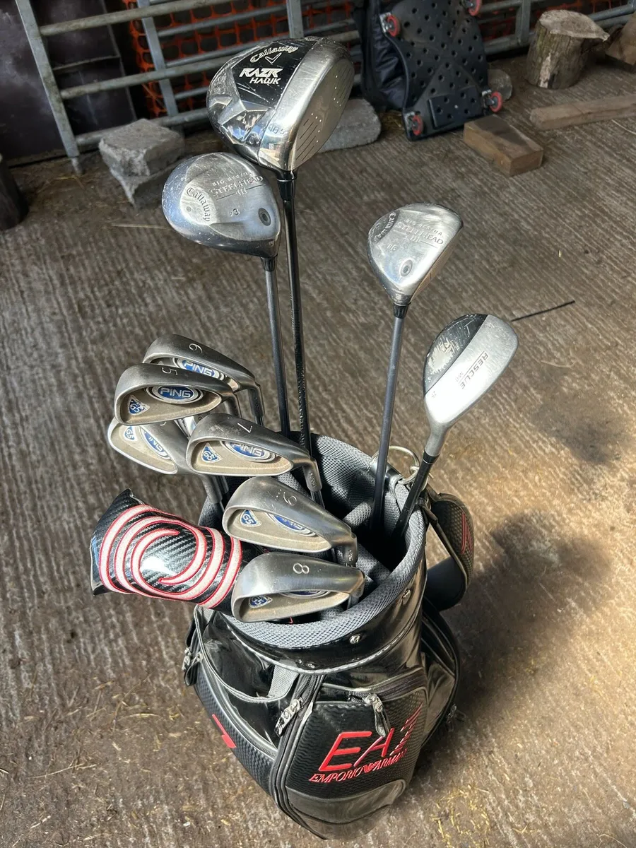 Golf Clubs and Bag - Image 1