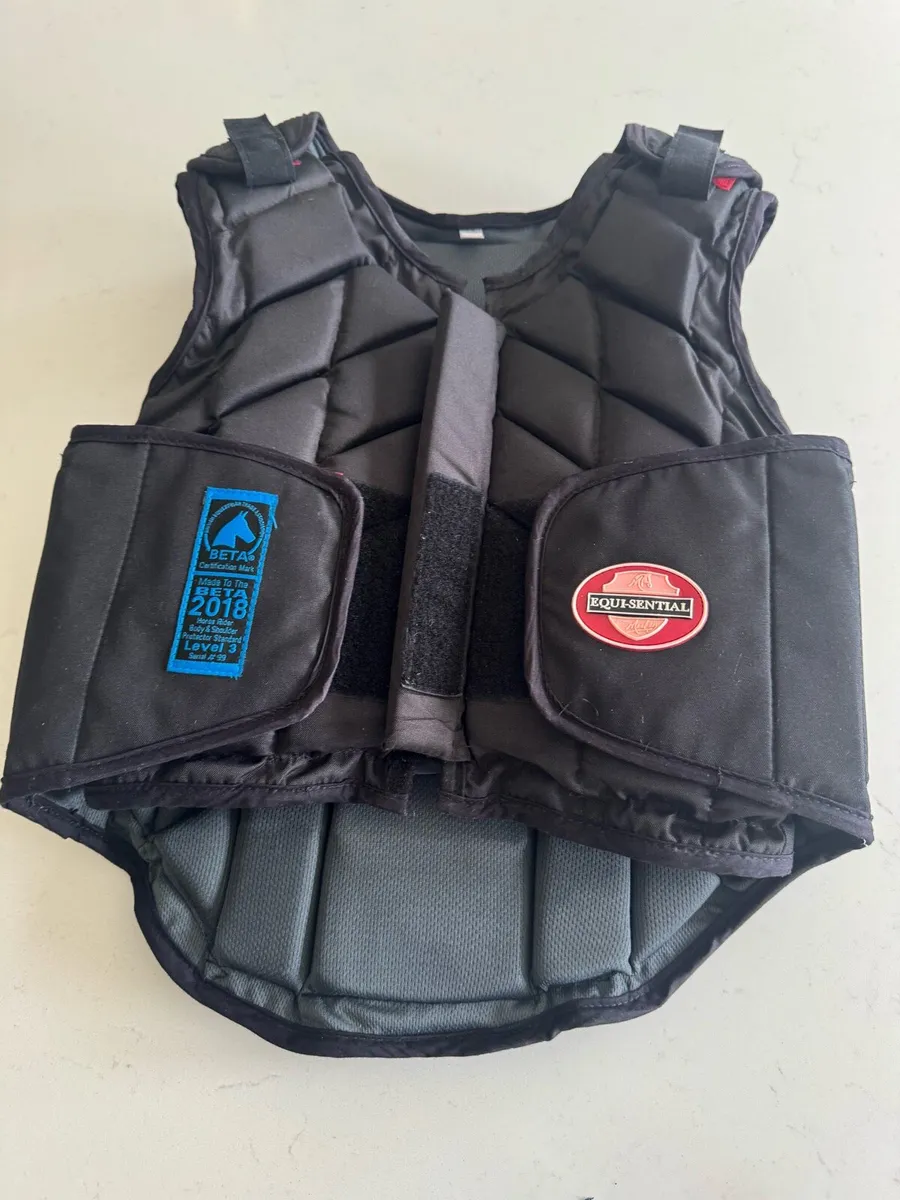 Horse riding back protector - Image 1