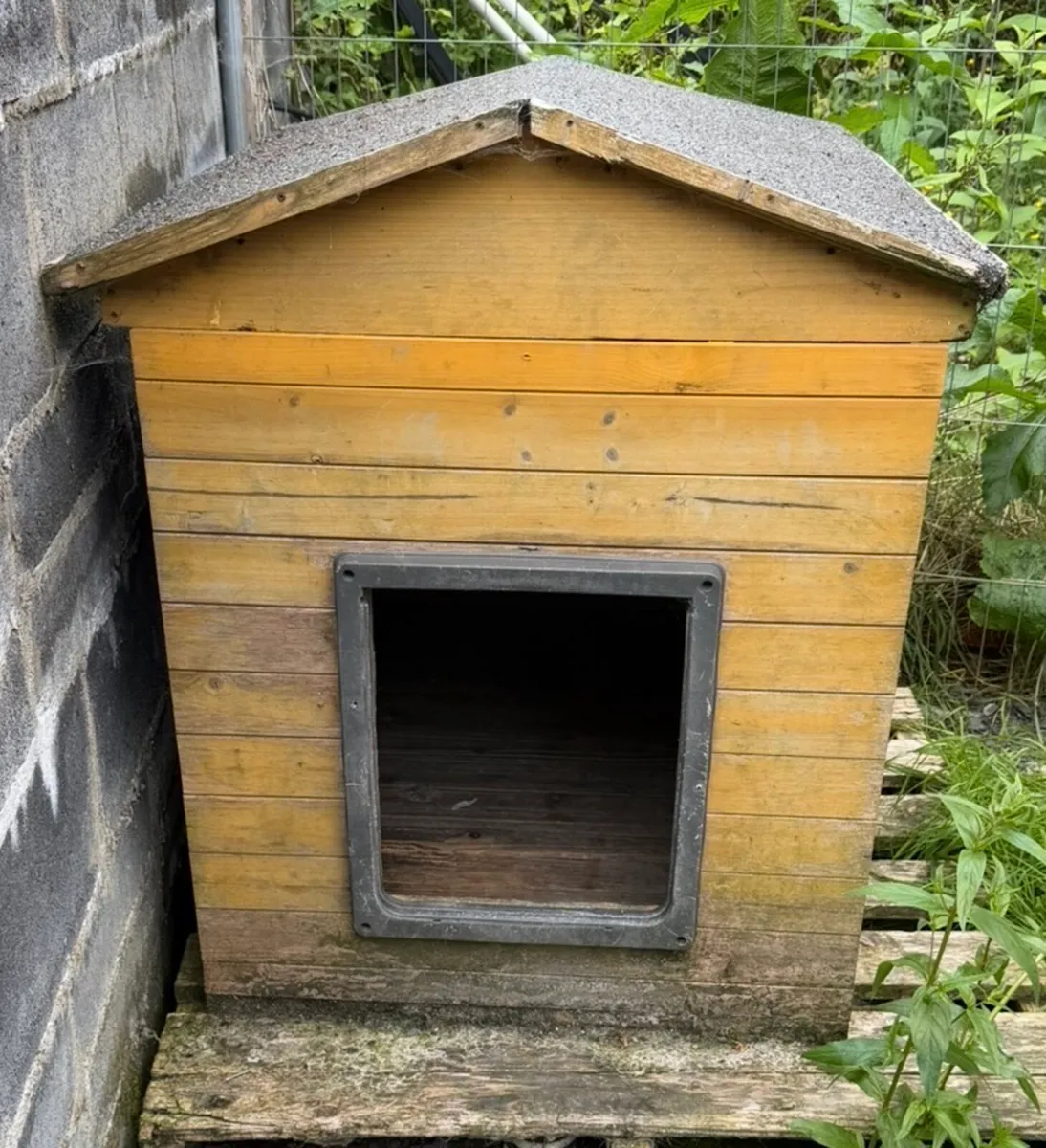Dog House - Image 1