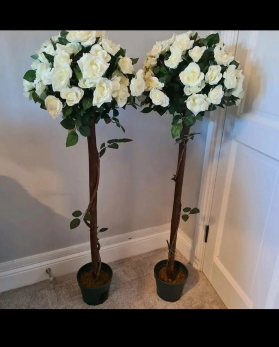Rose Trees for Hire
