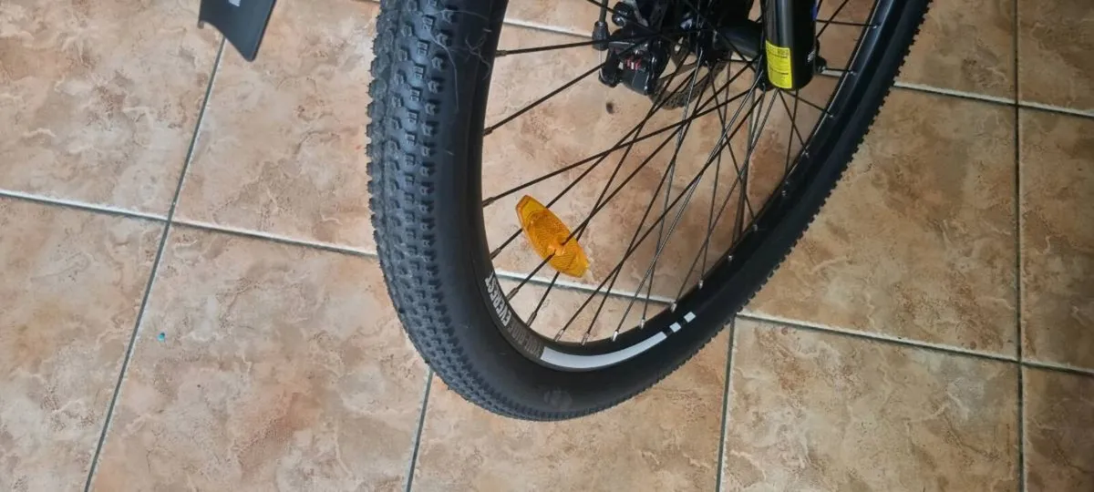 Electric MTB - Image 4