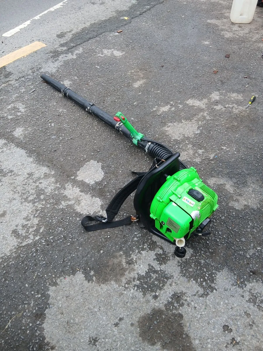 Leaf blower petrol running 💯 priced - Image 1
