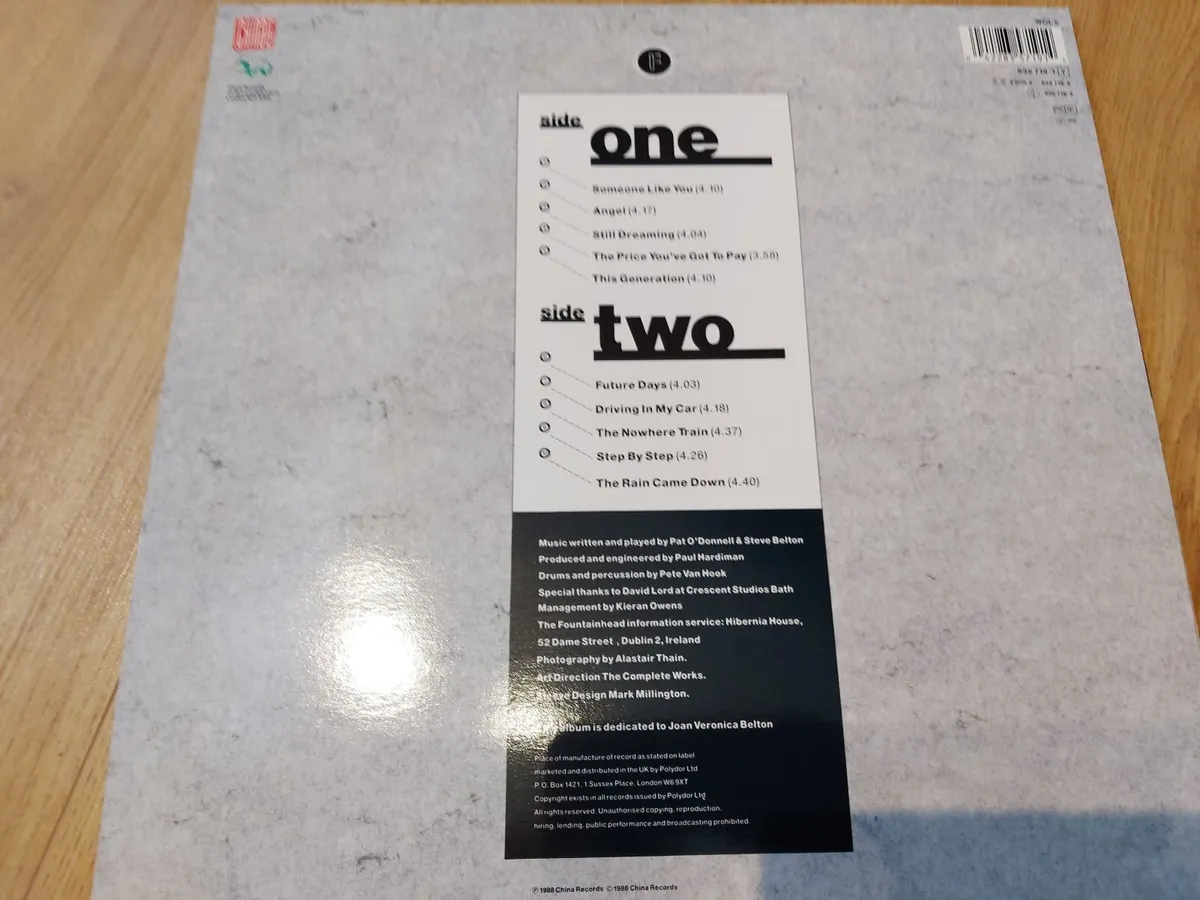 THE FOUNTAINHEAD - VOICE OF REASON - VINYL RECORD - Image 2