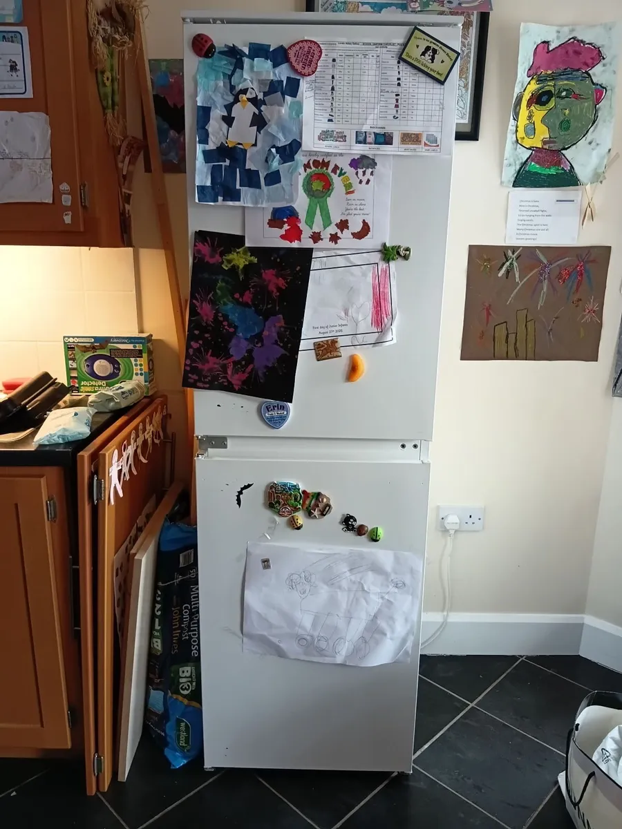 Fridge-freezer - Image 1