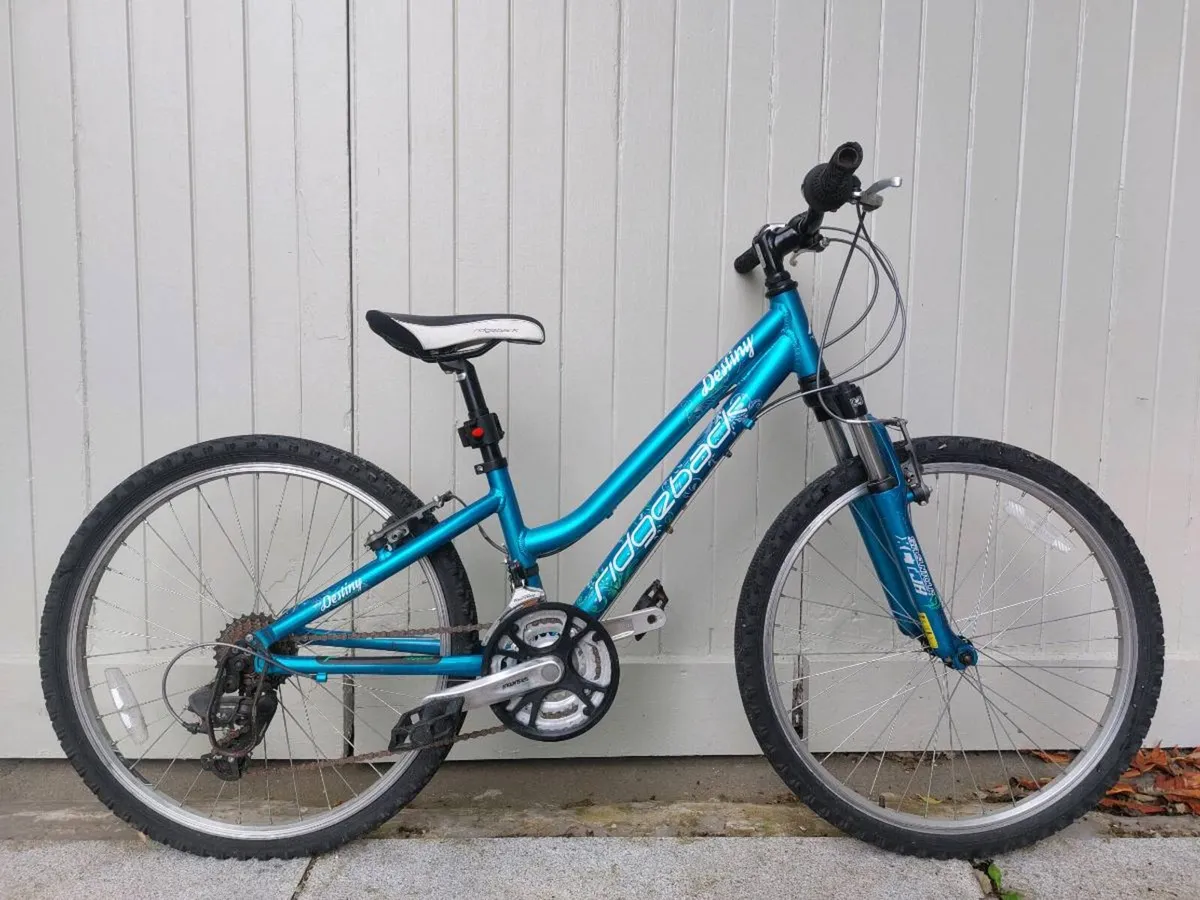 Ridgeback destiny 24" girls bike