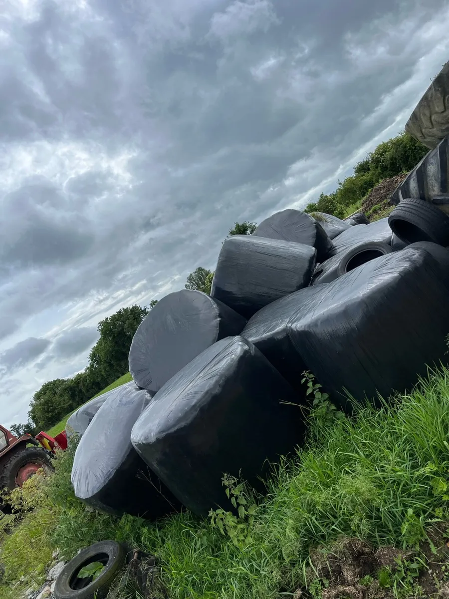 30 silage bales