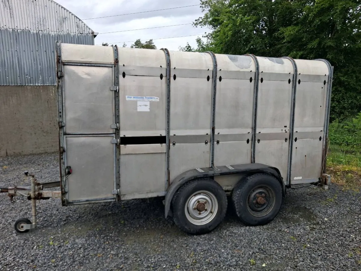 Cattel trailer - Image 2