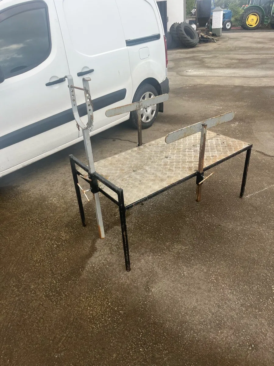 Sheep dressing stand - Image 1