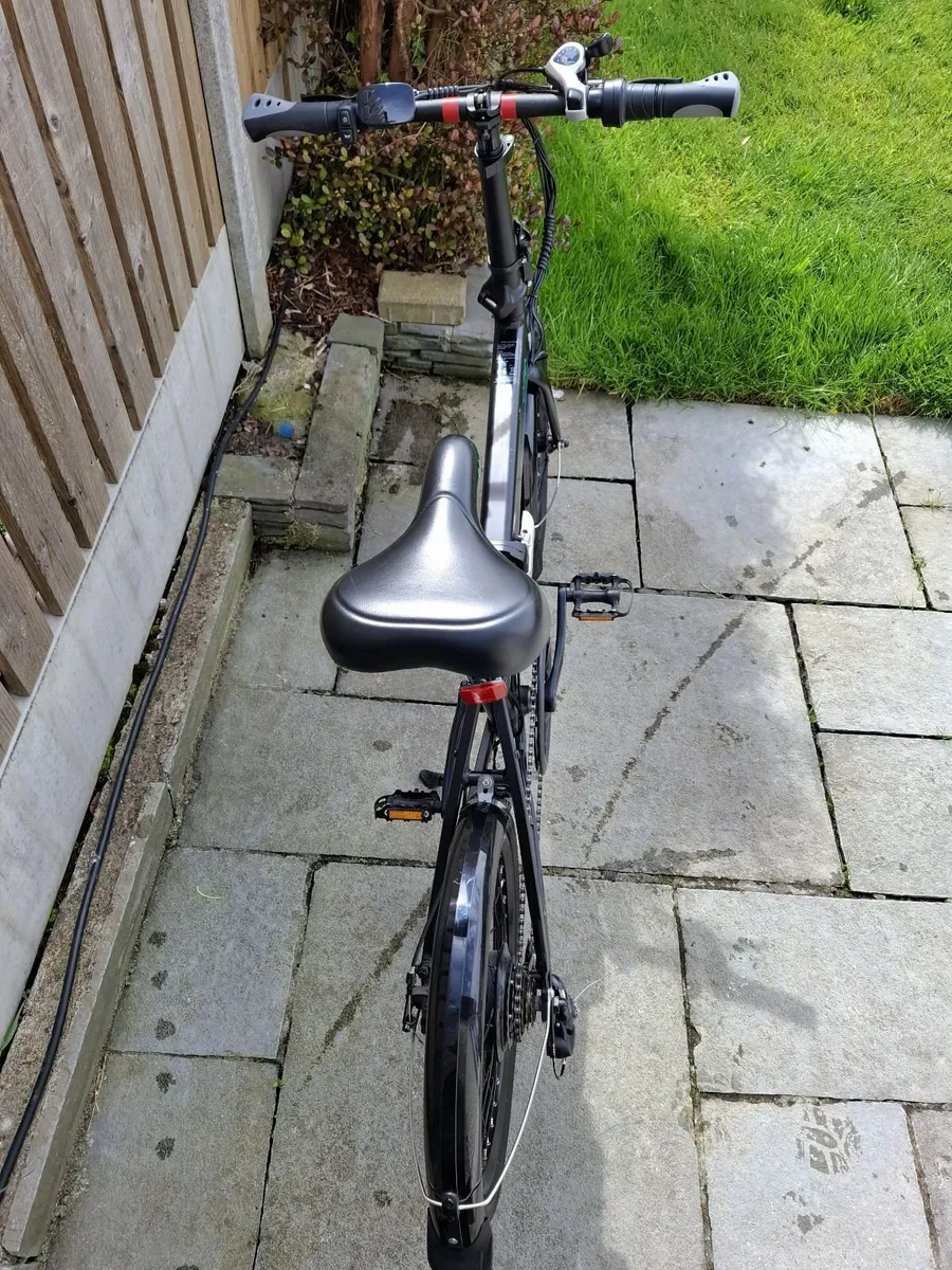 Fiido D4s Electric Bicycles (two for sale) - Image 1