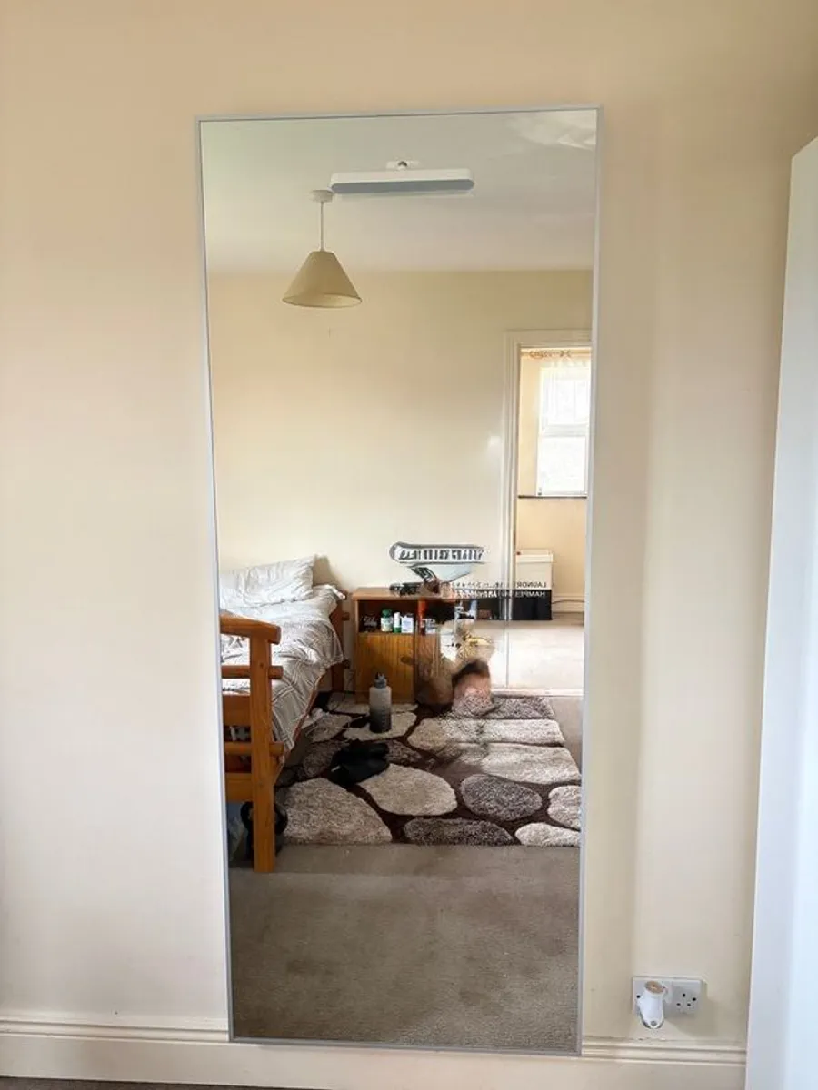 Full lenght mirror silver frame (2+metres) - Image 2