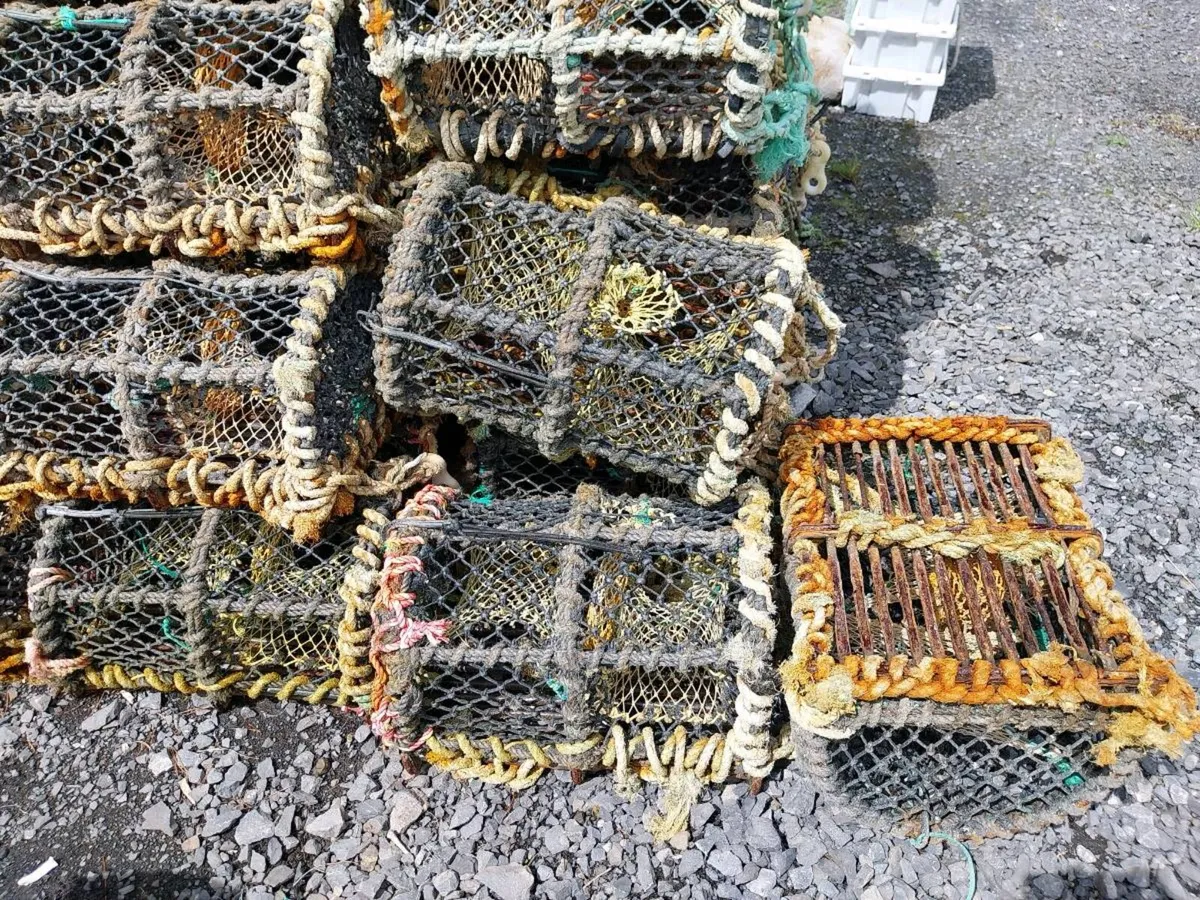 Lobster/ crab pots - Image 2