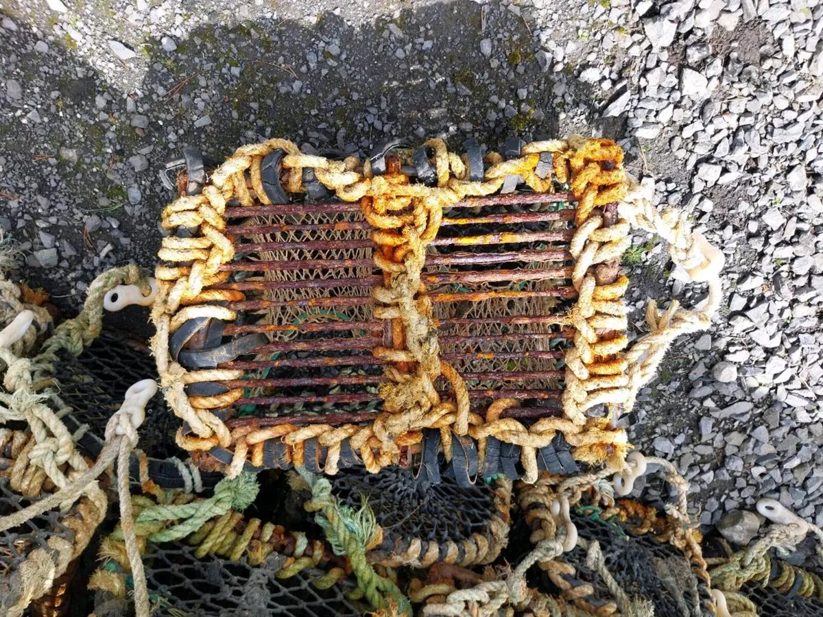 Lobster/ crab pots - Image 3