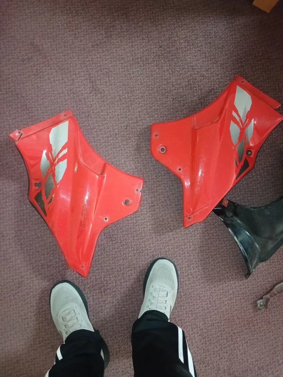 Honda Fairing - Image 4