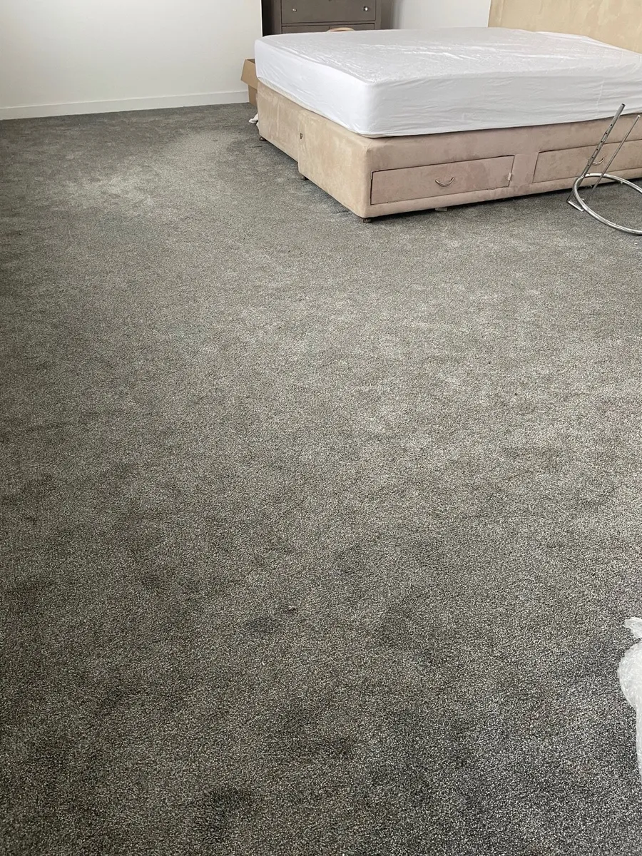Grey Carpet - Image 1