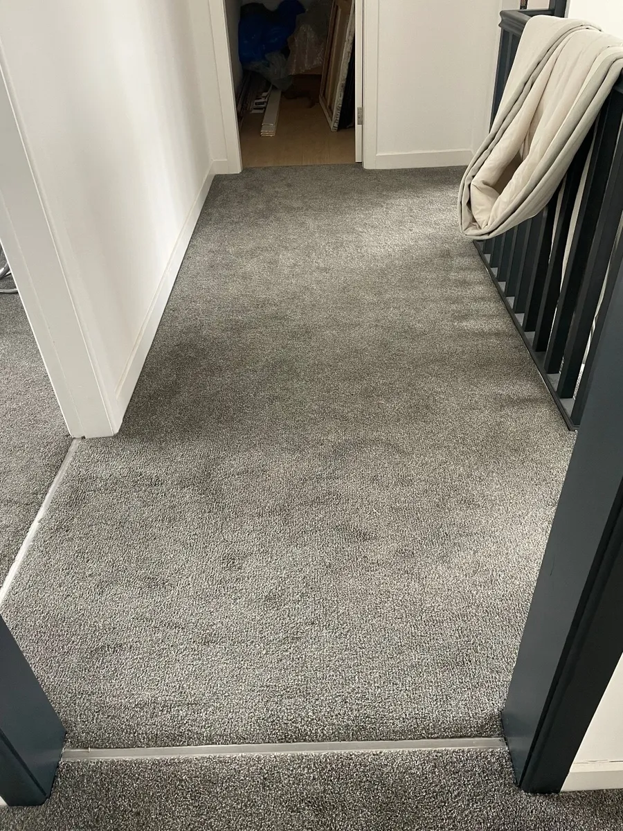 Grey Carpet - Image 2