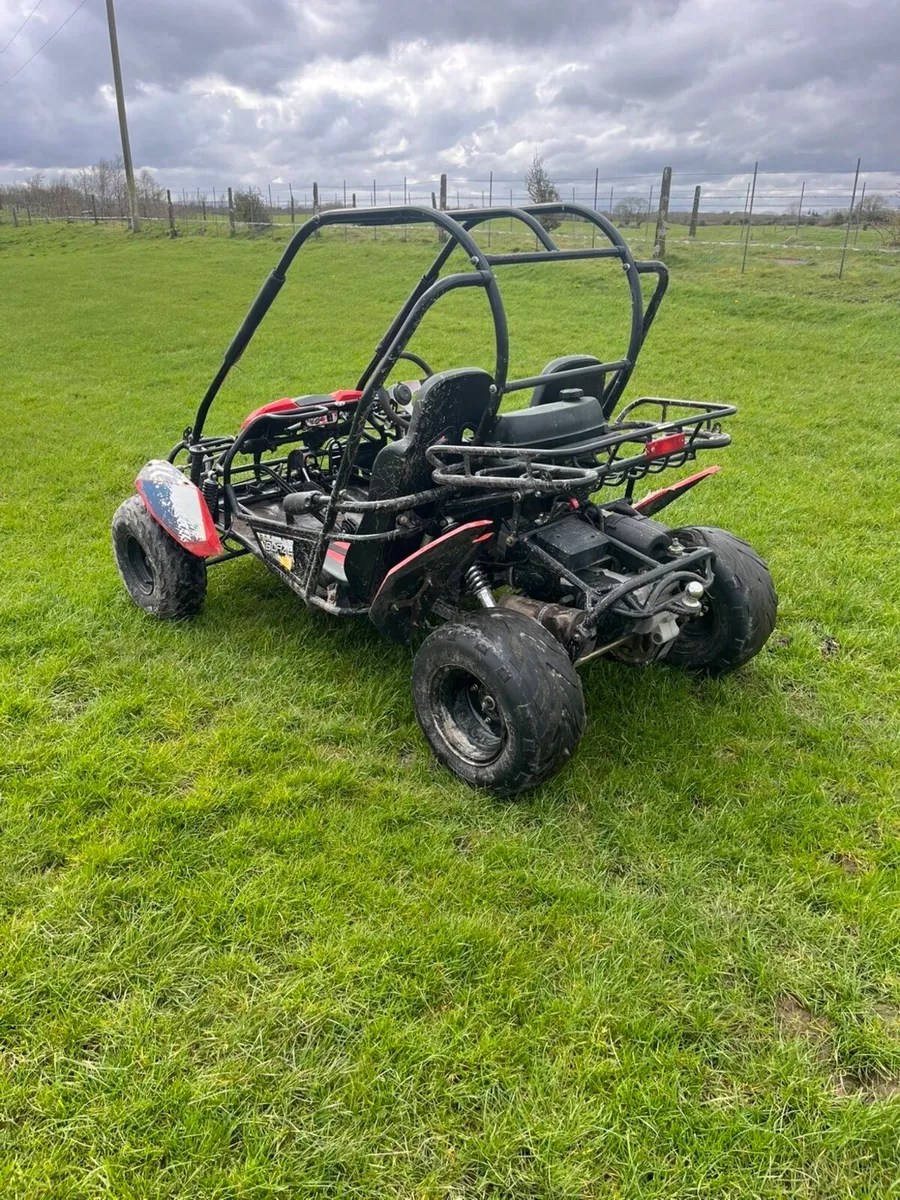 Buggy quad - Image 3