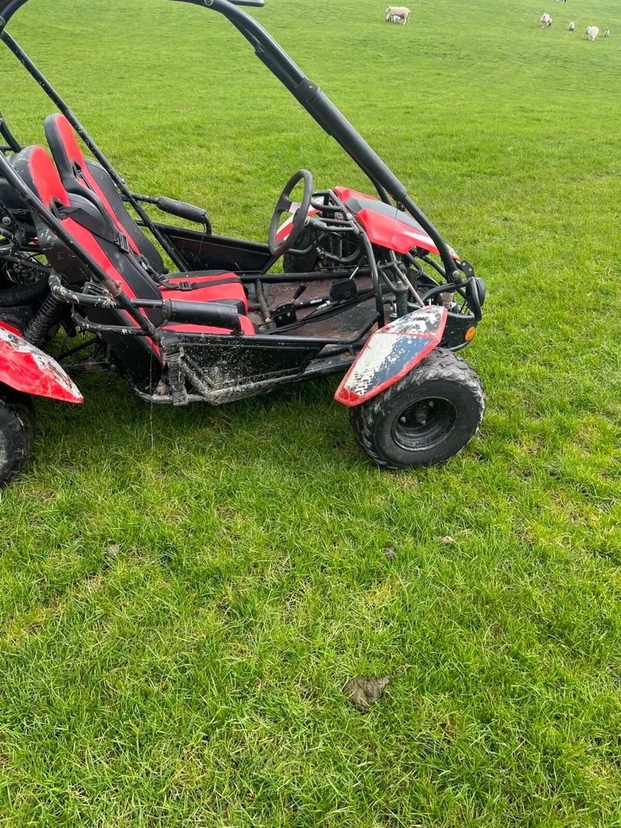 Buggy quad - Image 4