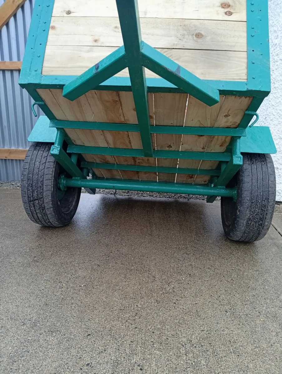 Car/quad trailer - Image 2