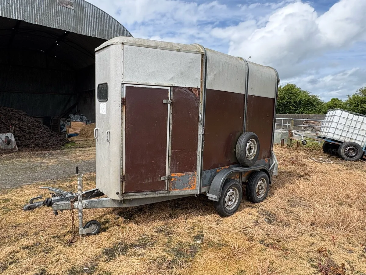 IFOR WILLIAMS HORSE BOX - Image 2