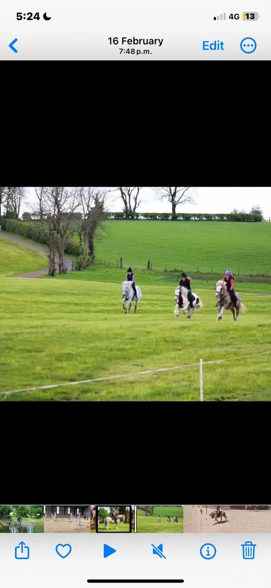 Pony - Image 4