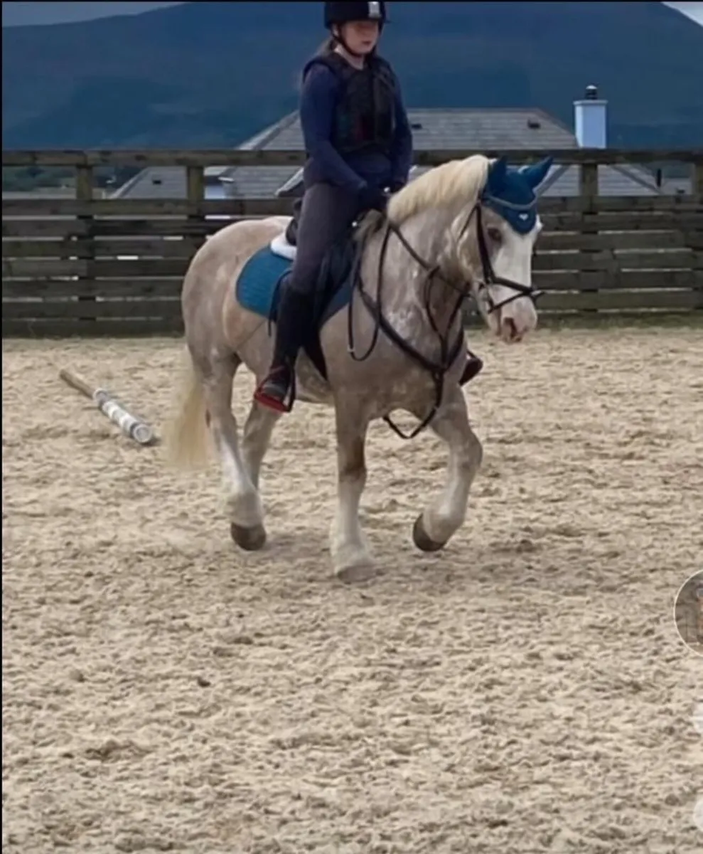 Pony - Image 1