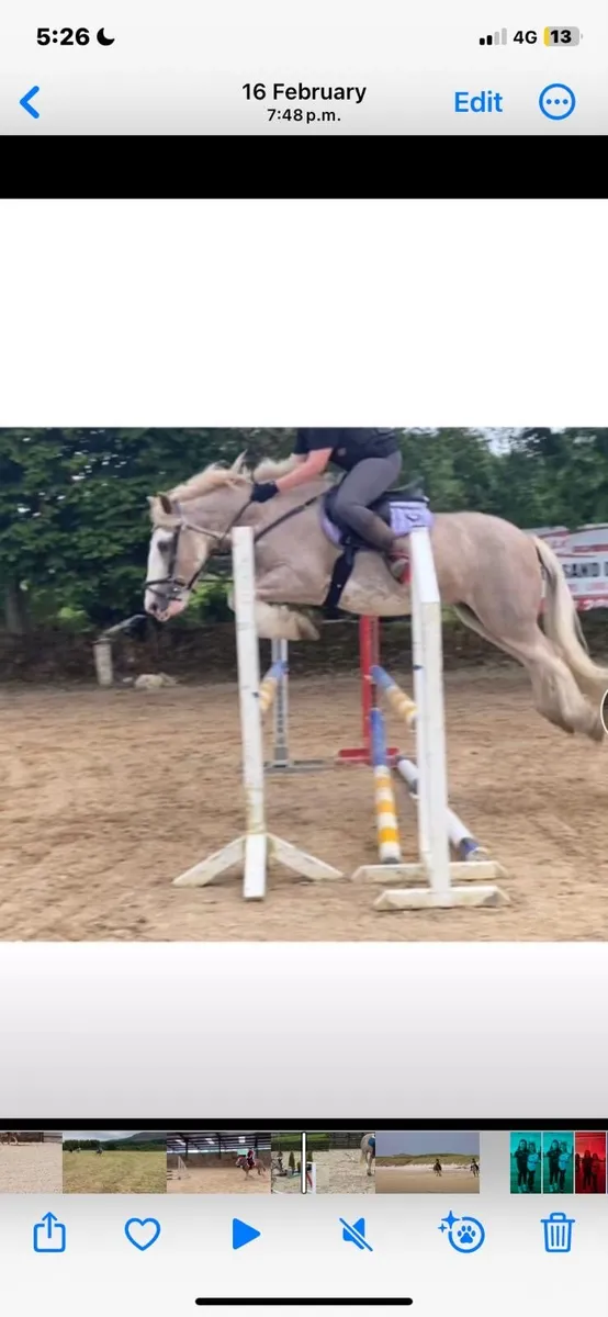 Pony - Image 1