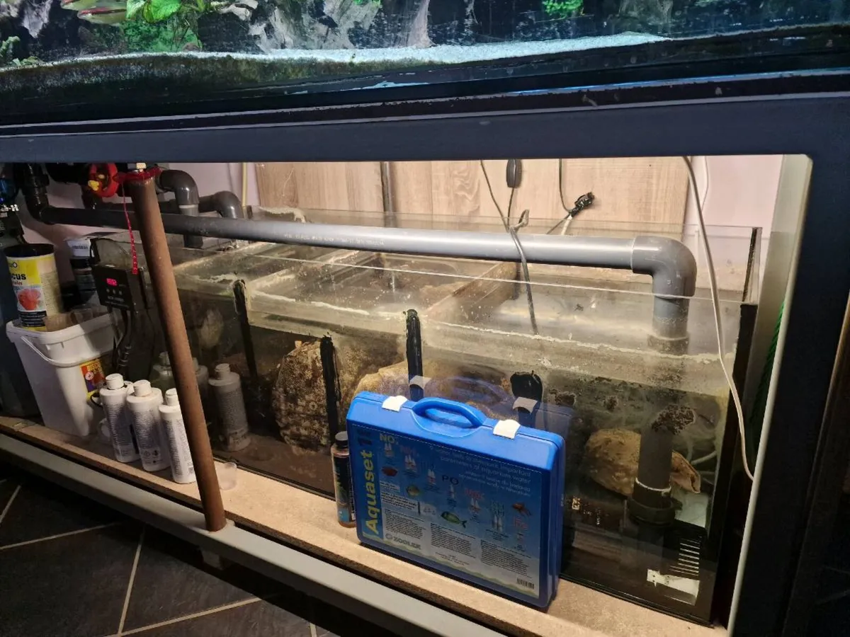 1000L fish tank - Image 4