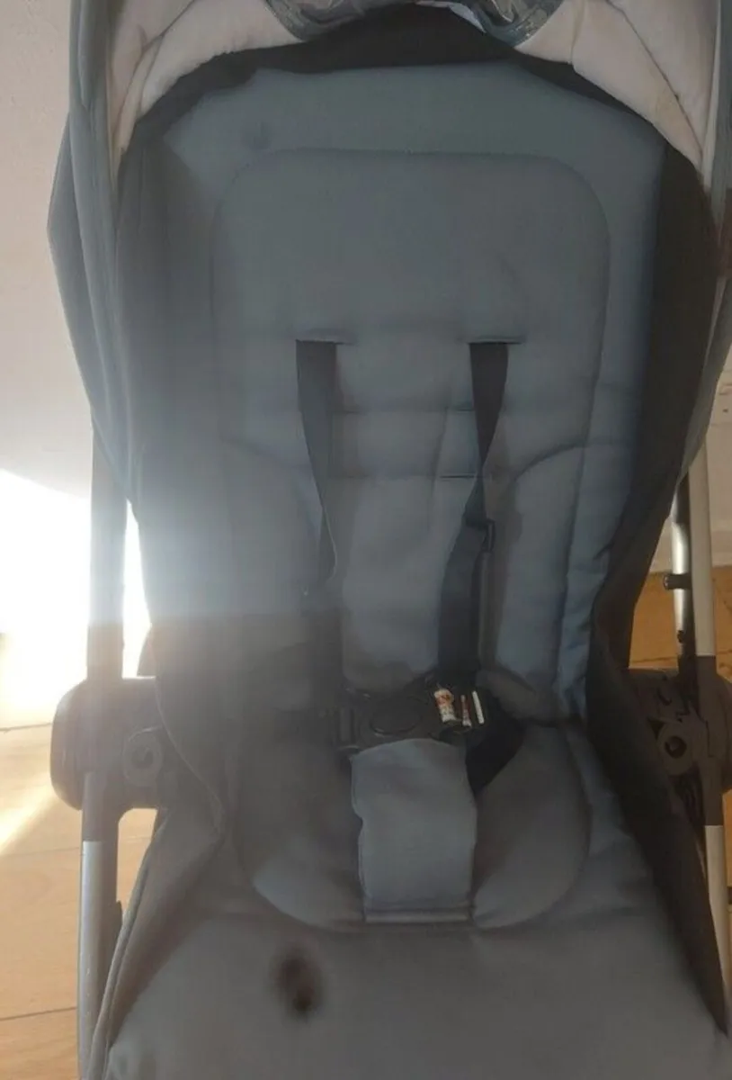 Buggy - Image 3